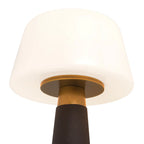 CLEMENCE TABLE